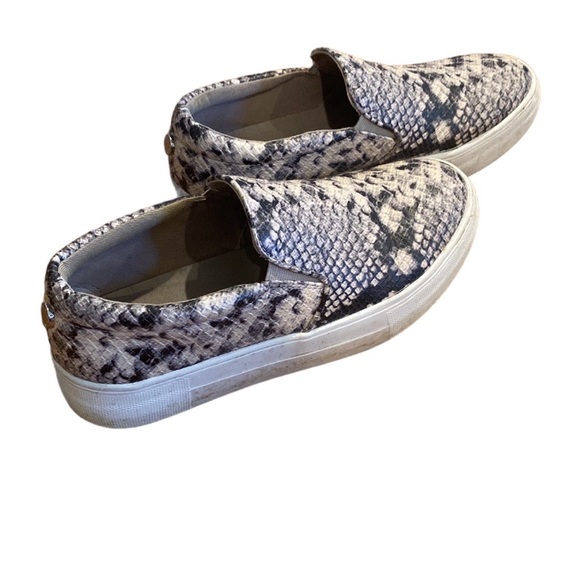 Steve Madden Gills Slip-On Sneaker Canvas Snake Print Size 7 - Picture 5 of 5